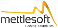 Mettlesoft Technologies – Pushing Boundaries