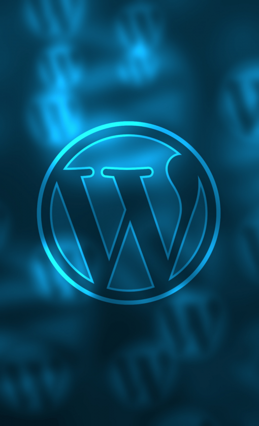 wordpress development